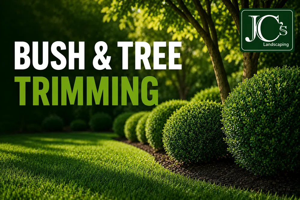 Bush & Tree Trimming