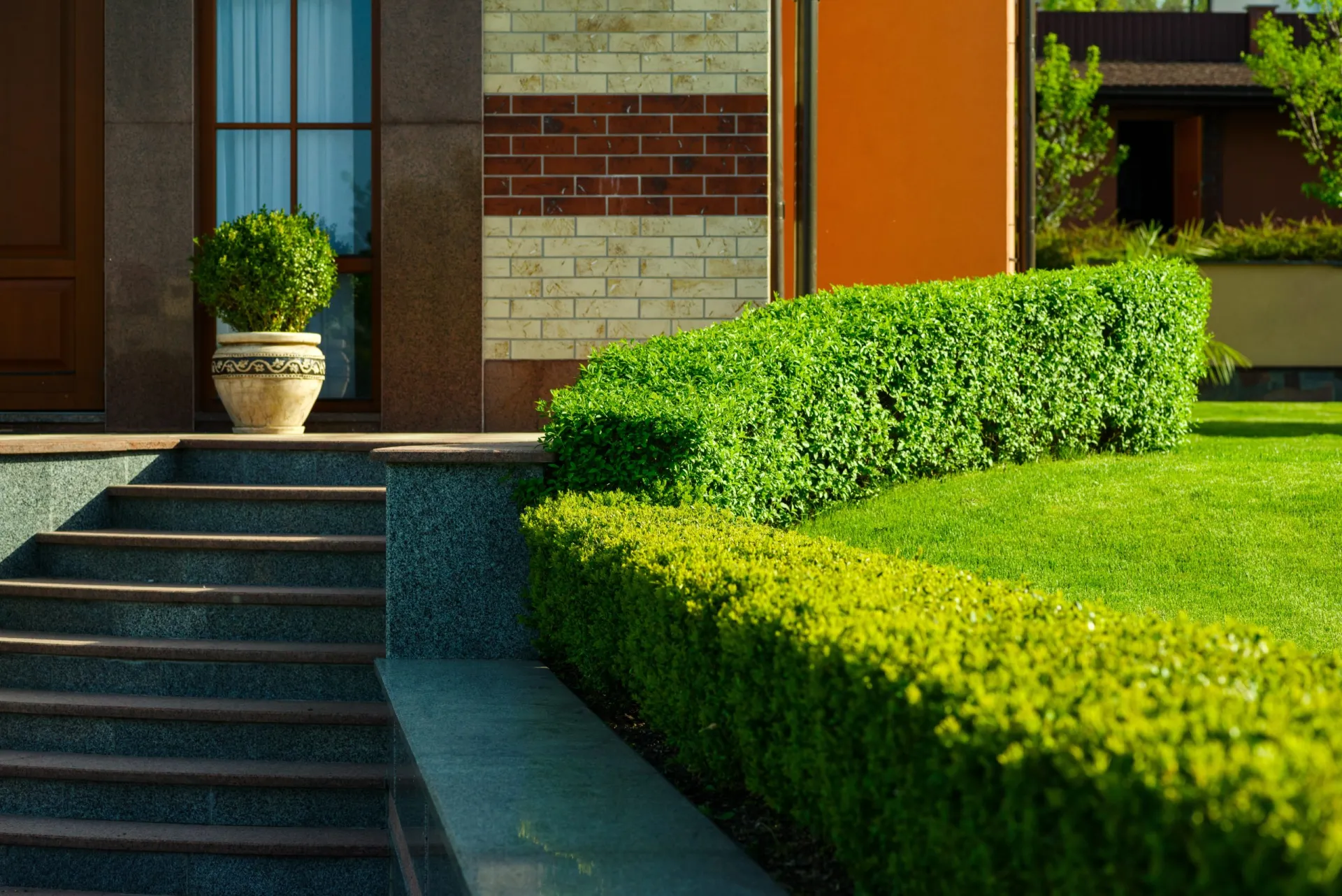 Frisco landscaping project