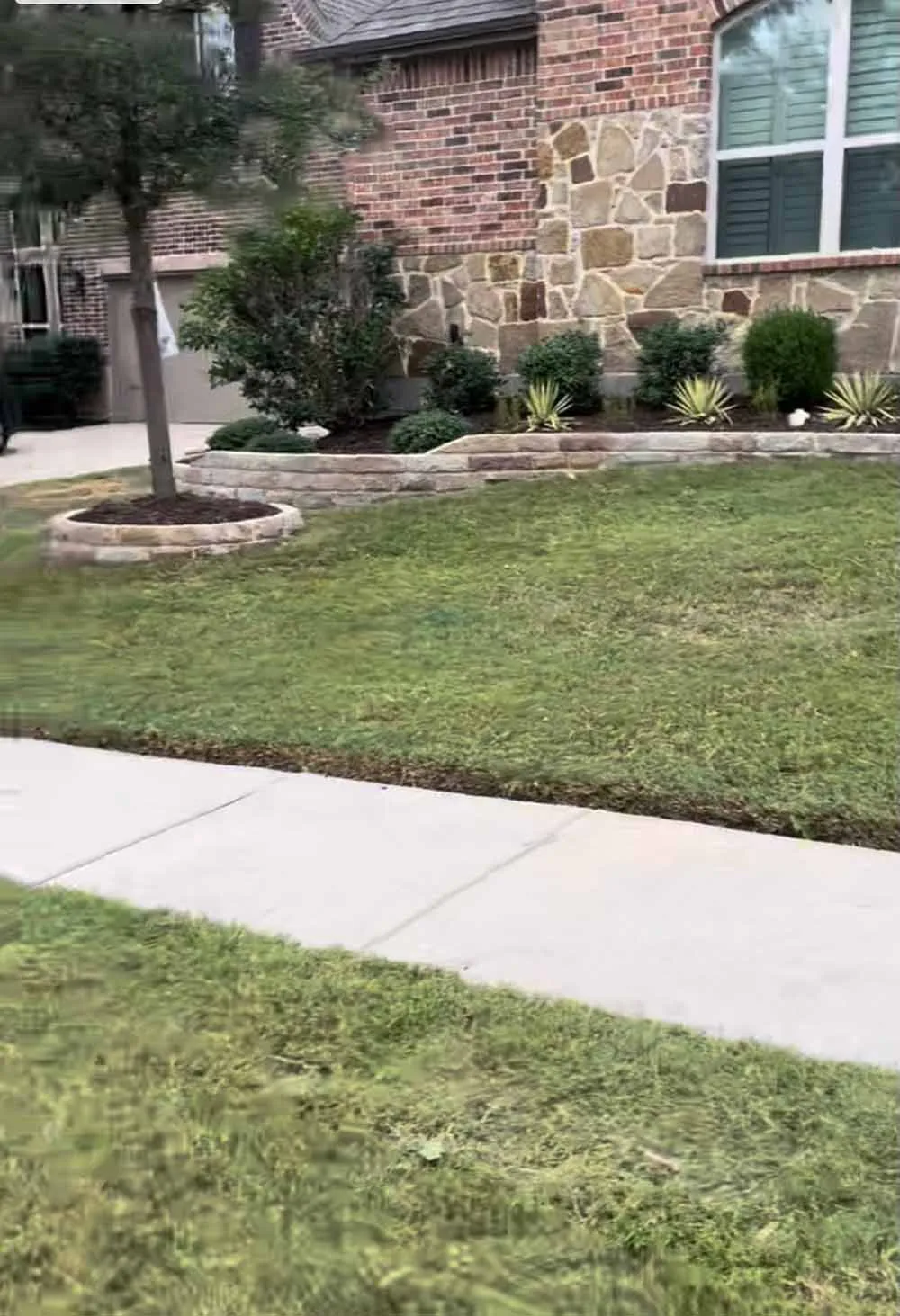 Front yard after