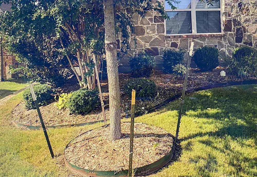 Front yard after before