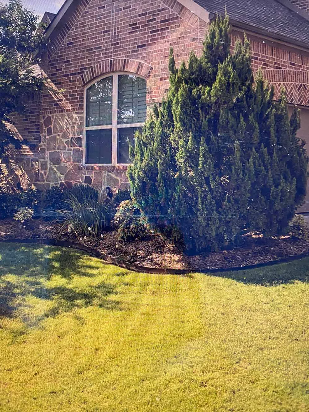 Front yard borders after before
