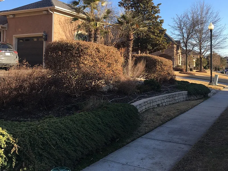 Middle area landscaping after before
