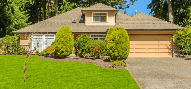 Lawn aeration service