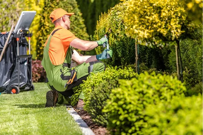 JC's Landscaping professional at work