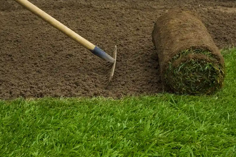 Professional sod installation
