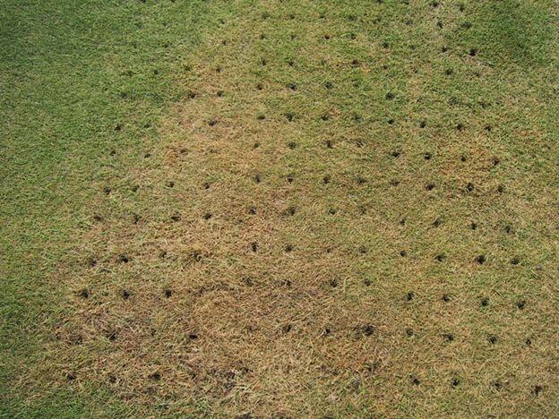 core aeration for compacted soil