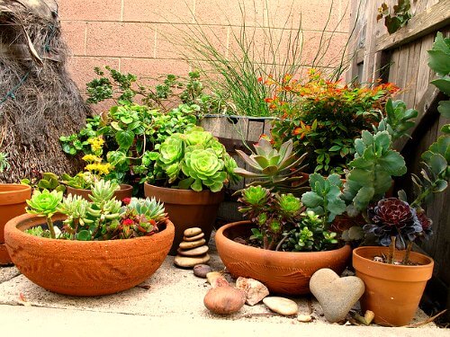 Affordable And Effective Landscaping Methods For Your Home