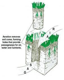 Lawn Aeration Service - North Texas