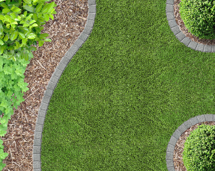 Top 5 Tips: Kill Weeds in Lawn