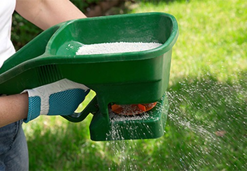 Lawn Fertilizer for St. Augustine Grass
