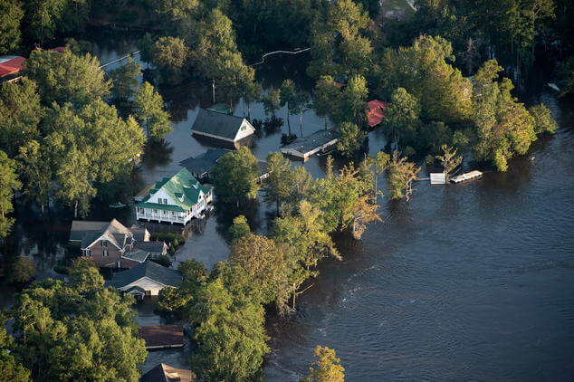 How to Rescue Flood Damage Plants In Your Garden