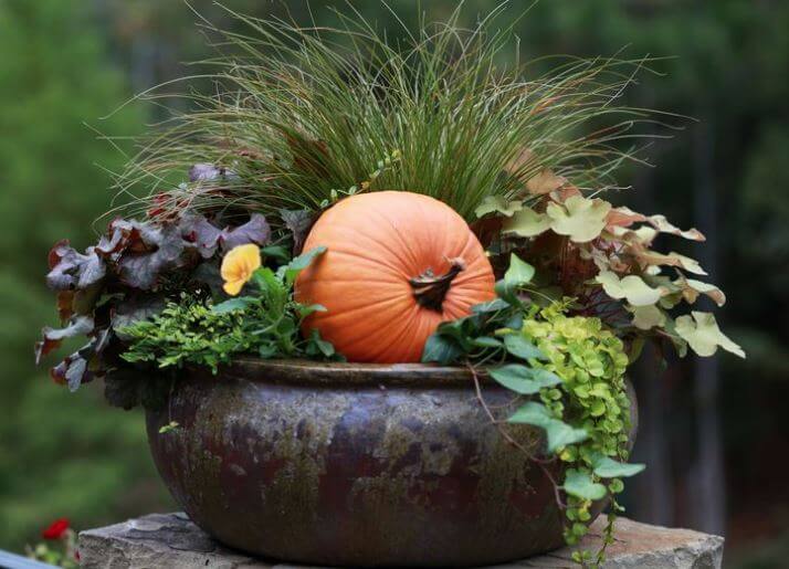 Outdoor Thanksgiving Decorating Ideas