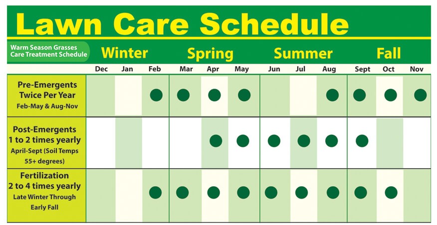 When To Apply Pre Emergent In Texas