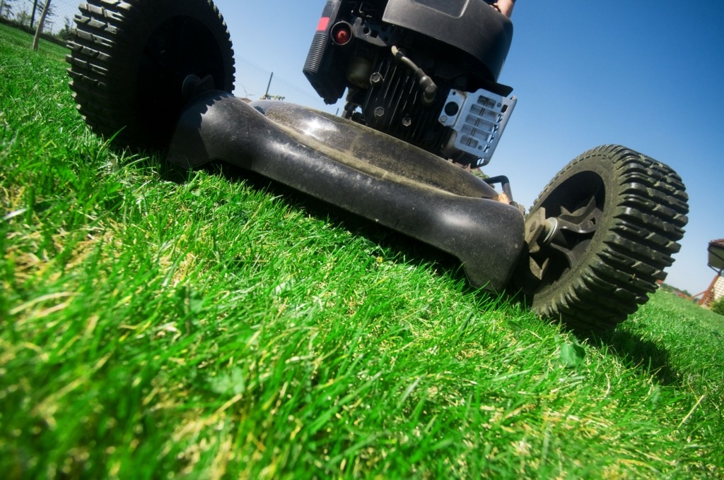 How often do I need to mow my lawn?