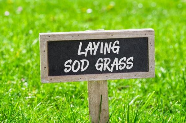 Fort Worth Sod Installation