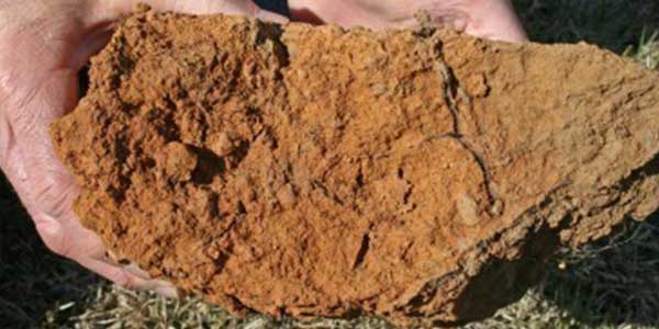 Amendments for Clay Soil Improvement