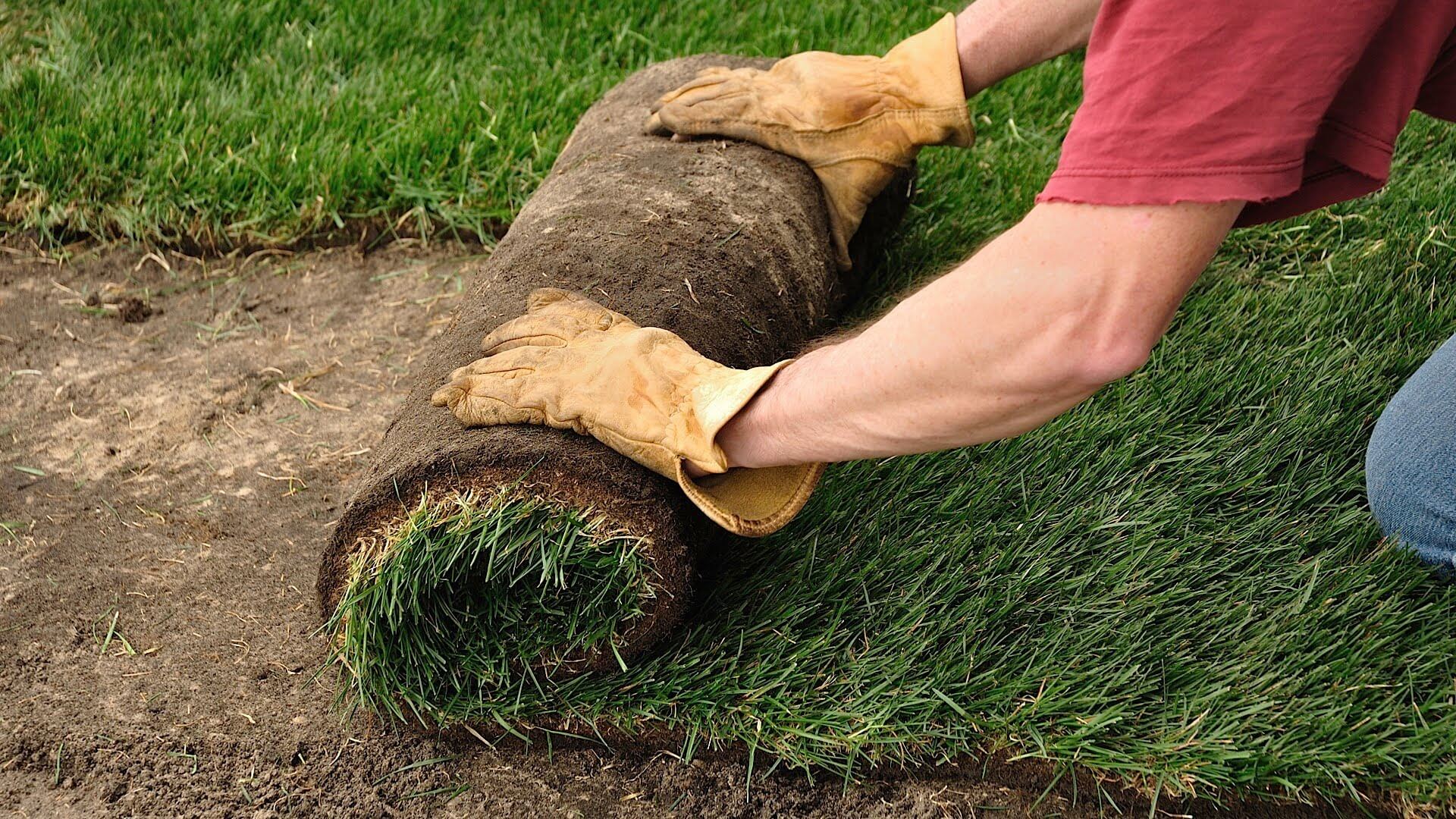 How to Sod Grass - Sod Installation Process