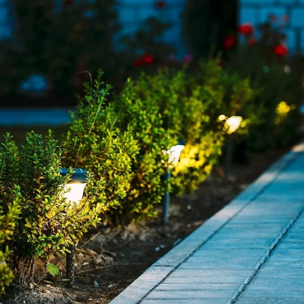 When to Plant Shrubs- Add Texture and Dimension