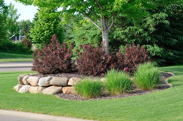 Protecting Your Trees and Shrubs For the Winter