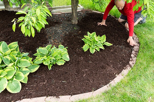 Lawn Care Service Company