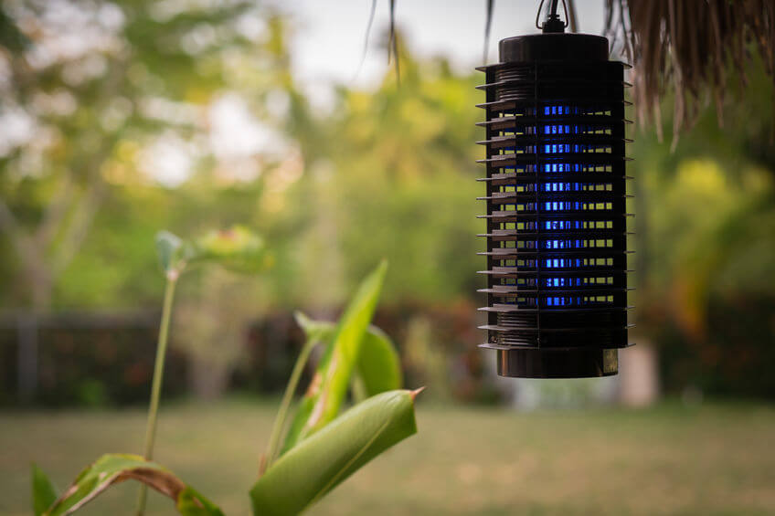 Backyard Bug Zappers - Lawn Pest Control Options