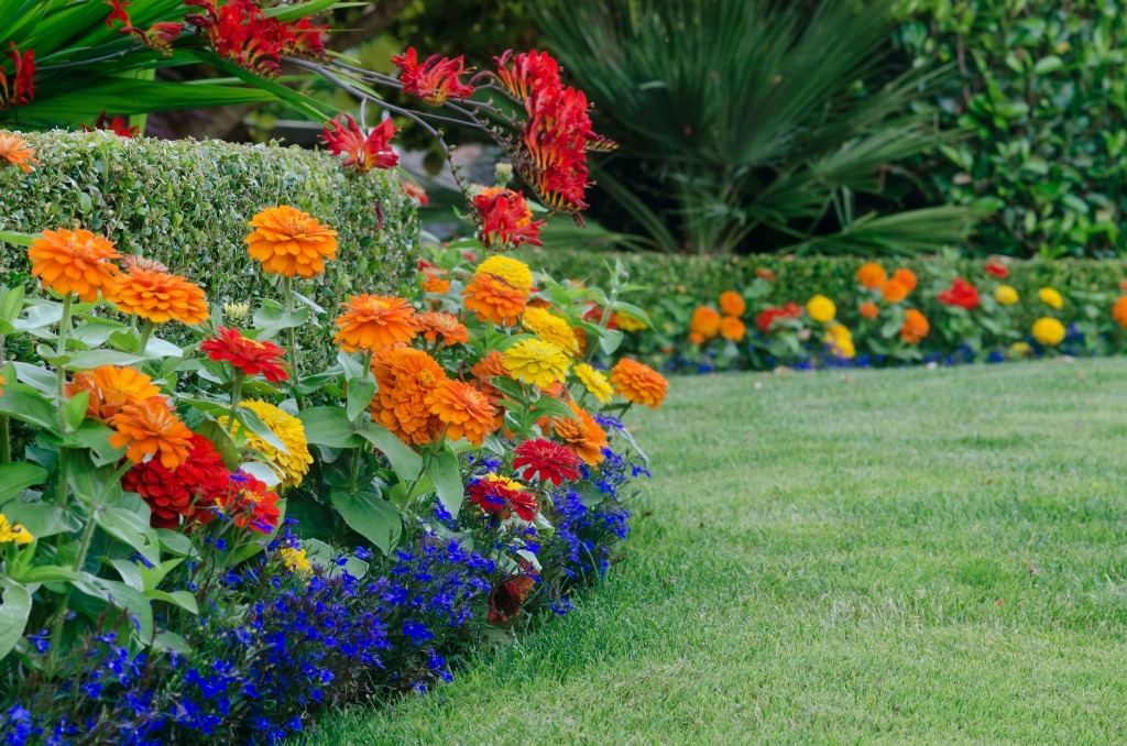 Top 5 Garden Design Ideas for Summer
