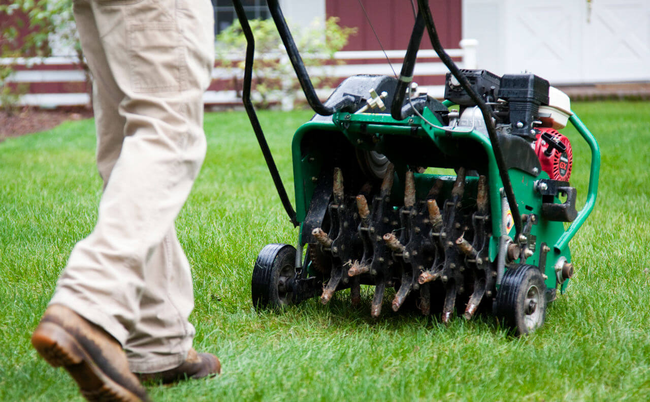 How Aeration or Seed Slicing Can Benefit Your Lawn