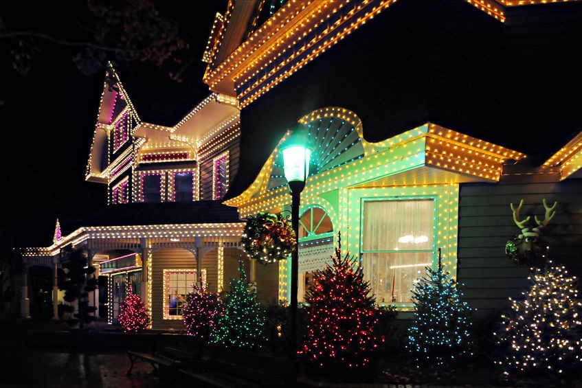Decorating Bushes with Christmas Lights