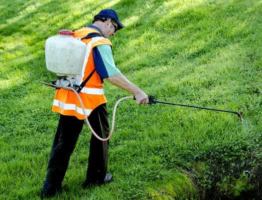 Pre- Emergent Herbicide List for Effective Lawn Weed Control