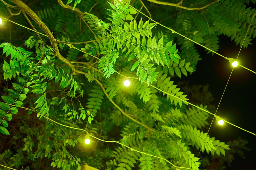 Outdoor Lighting: Enhance Your Backyard at Night