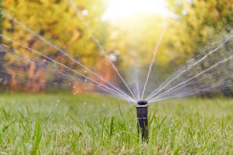 Fix a broken sprinkler head- Helpful DIY Guide