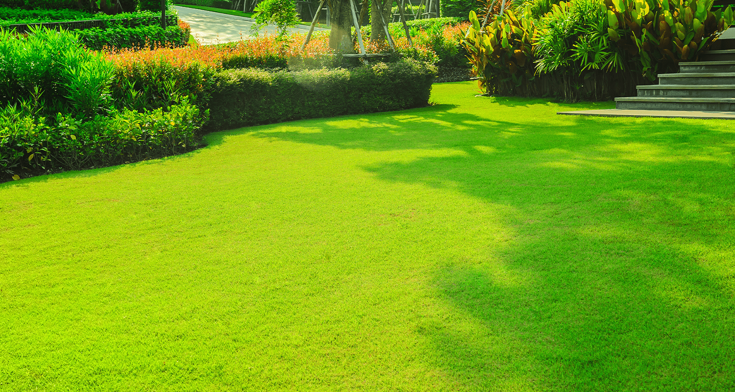 Castle Hills Lawn Care in Hebron, TX | Mowing & Maintenance
