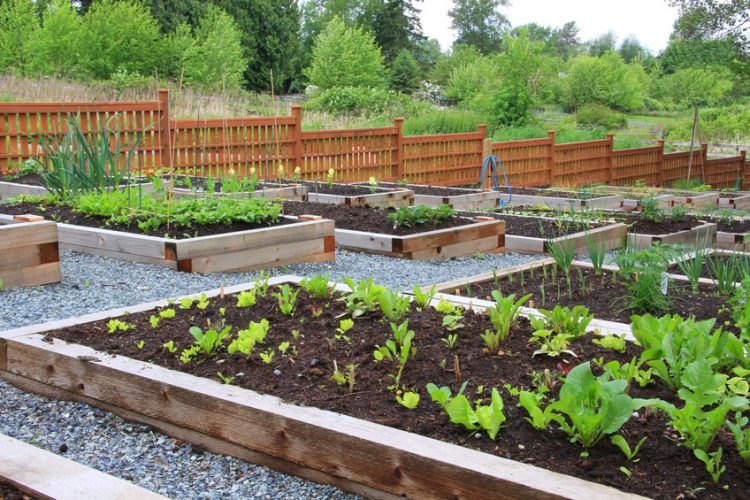 How to Prepare Raised Garden Beds for Spring