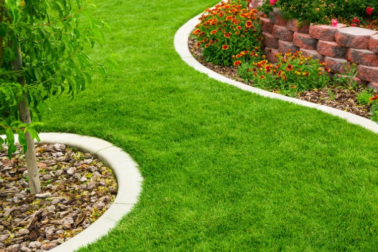 Why Do You Aerate a Lawn? The Key to Denser, Stronger Turf