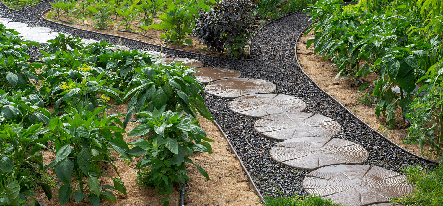 Lewisville Landscaping