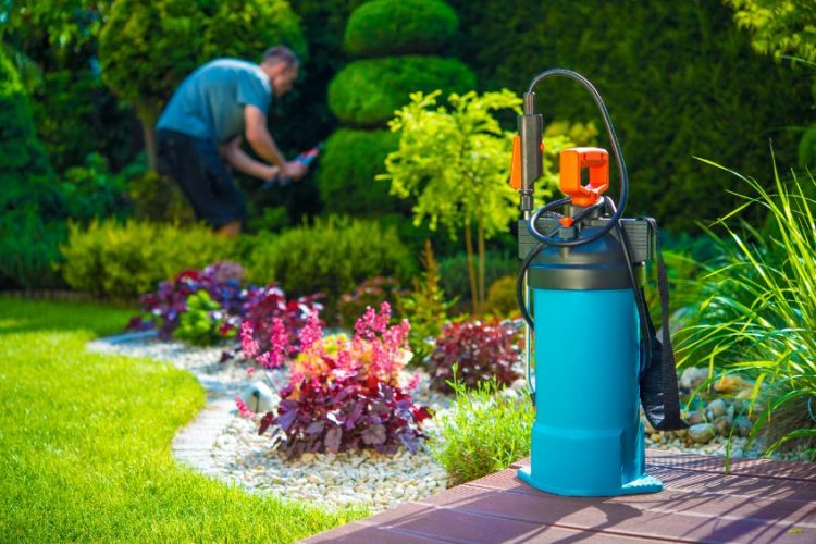 How to Apply Weed Control to Your Lawn