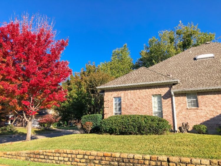 Winterizing Lawn Fertilizer- Guide for Strong Roots