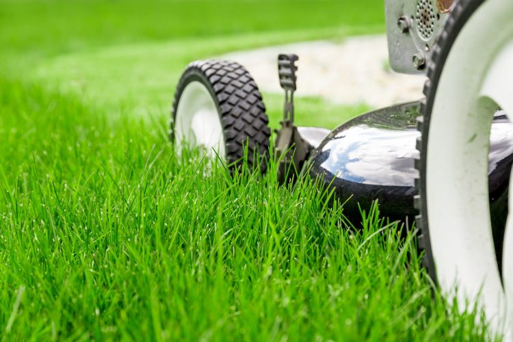 Basic Lawn Mowing Tips to Achieve a Lush Lawn