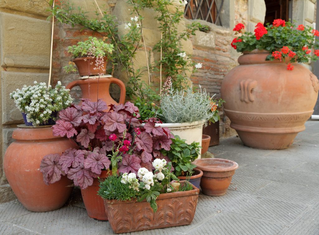 Create a Spring Container Garden