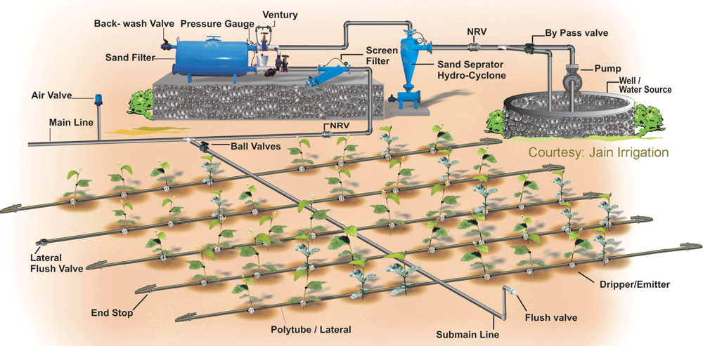 How to Install Drip Irrigation Emitters: A Helpful Guide