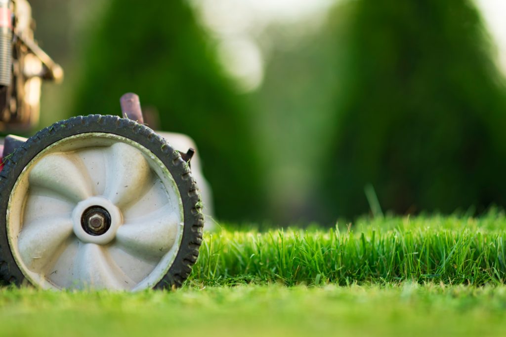 Lawn Care Tips for Early Spring in Frisco, TX