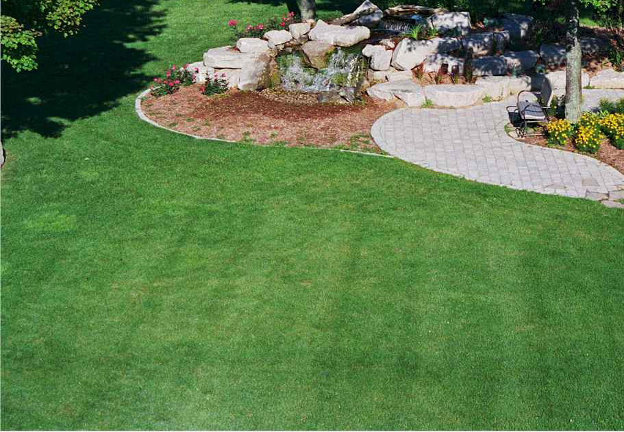 Dallas Weed Control