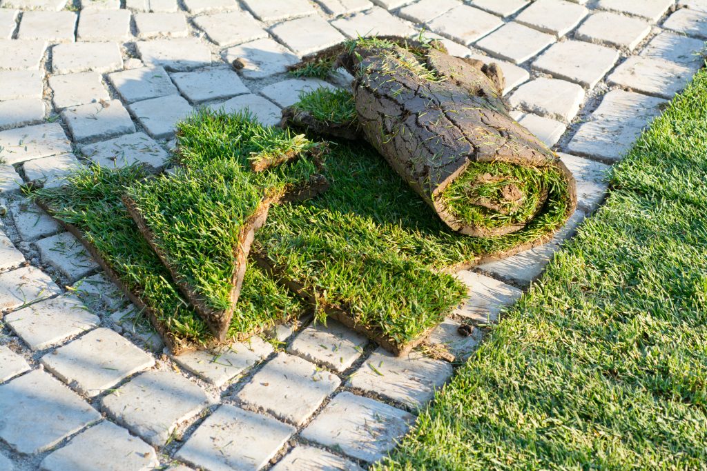 When to Mow New Sod & How to Do it Correctly