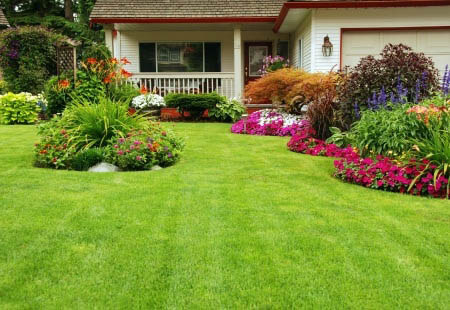 Carrollton Landscaping Services