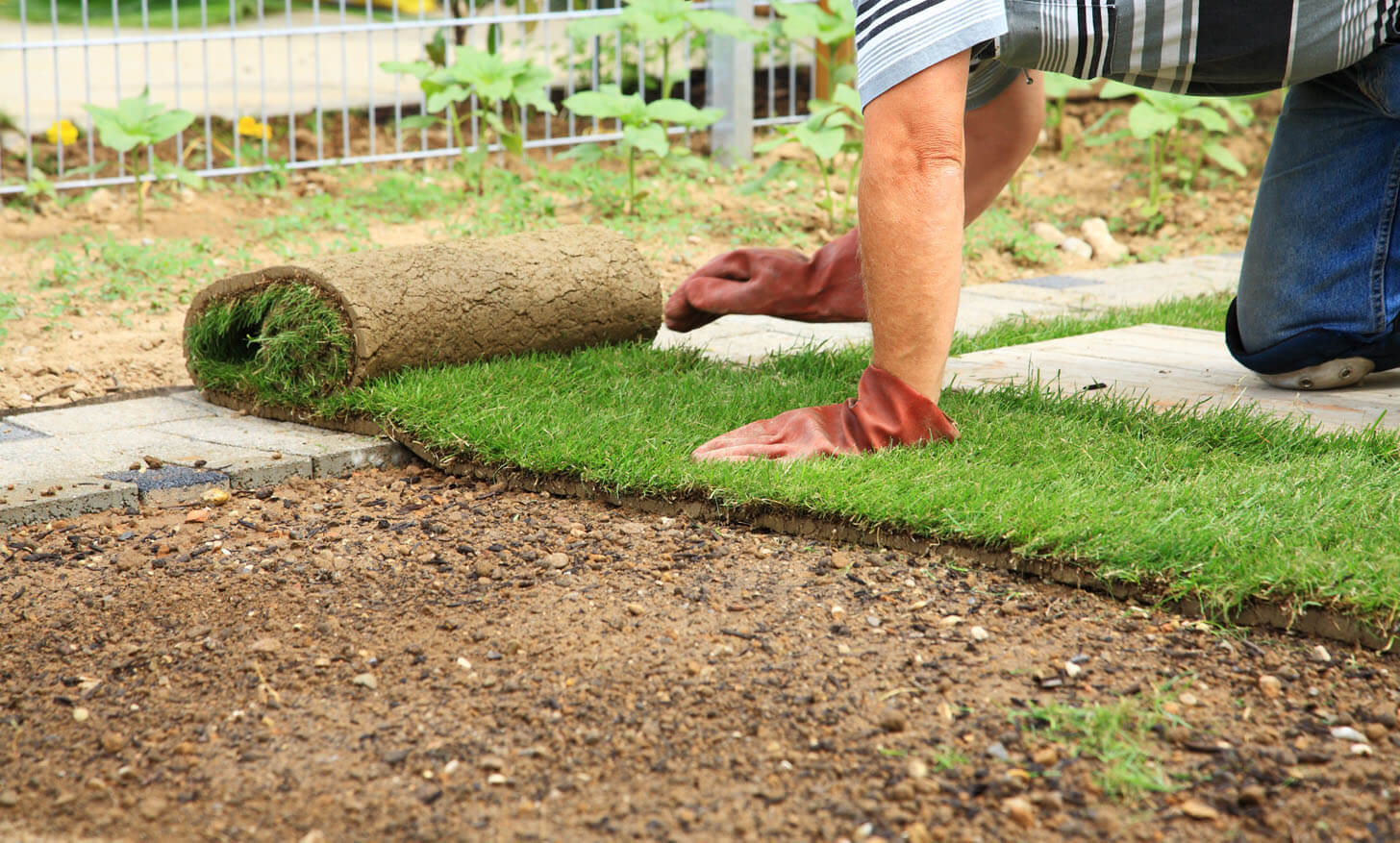 New Sod in Prosper? Get Your Watering Variance