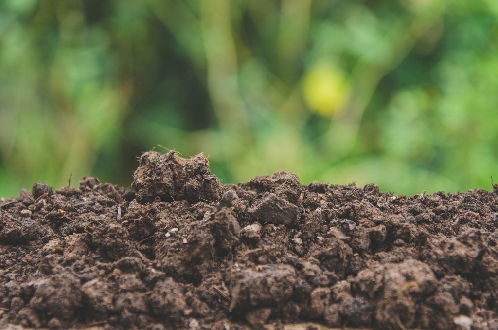 Soil Health: Maximize Fertilizer Efficiency Before Summer