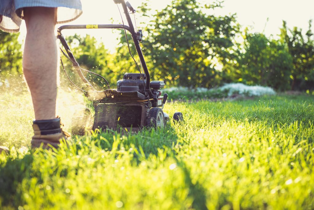 Which is Better Gas or Electric Lawn Mower?