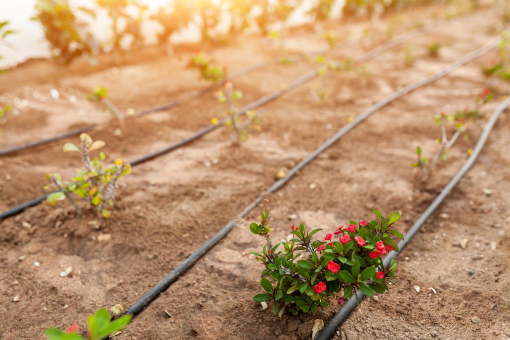 How Does Drip Irrigation System Work? | Water-Saving Guide