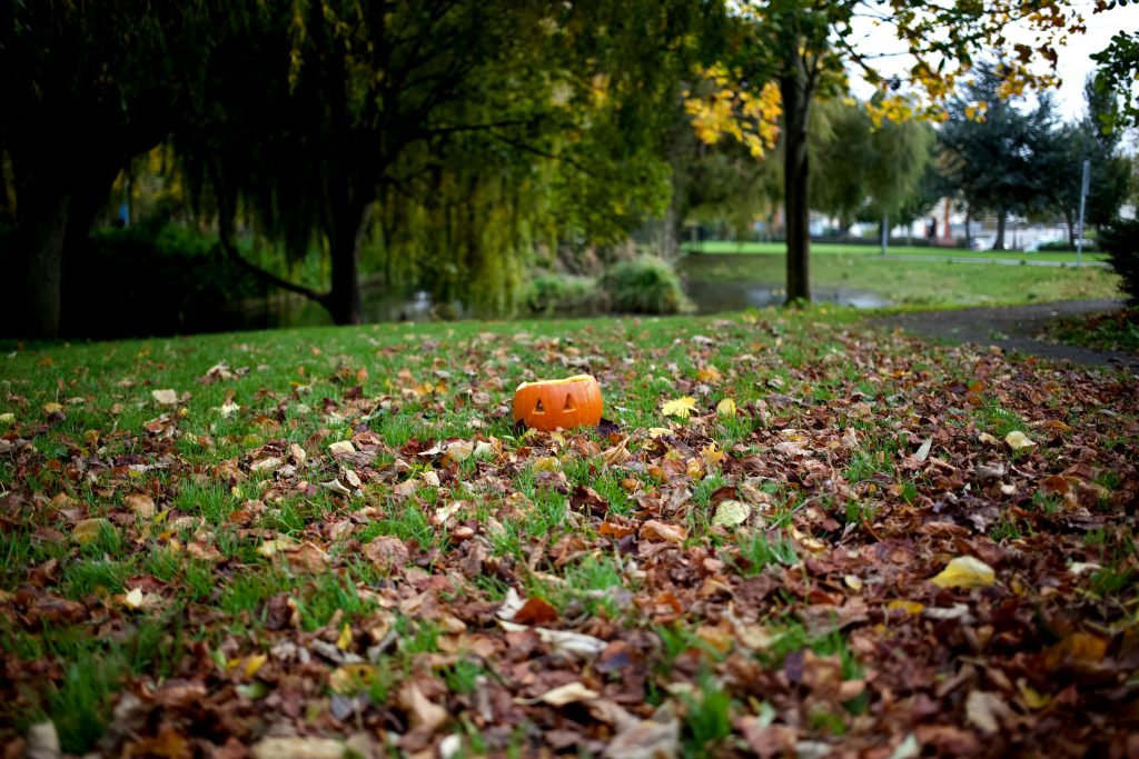 Fall Clean-Up Services Explained