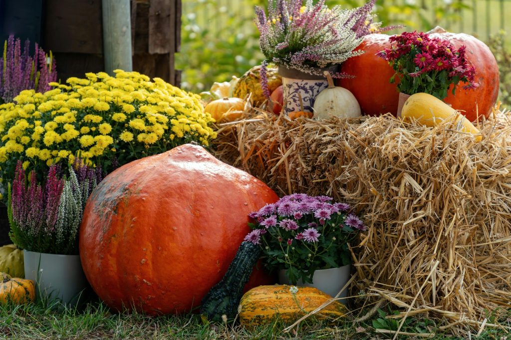 Fall Potted plant Ideas: Easy Ways to Add Autumn Charm
